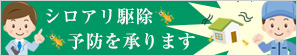 シロアリ駆除・予防承ります